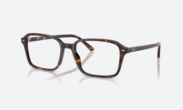 Rayban RX5431 2012 Havana