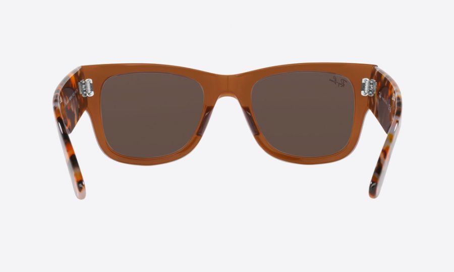 RayBan RB0840S 663693 Brown - Image 4