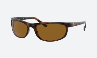 RayBan RB2027 650833 Havana