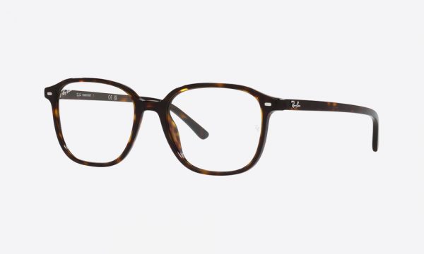 RayBan RB2193 902/GH Havana