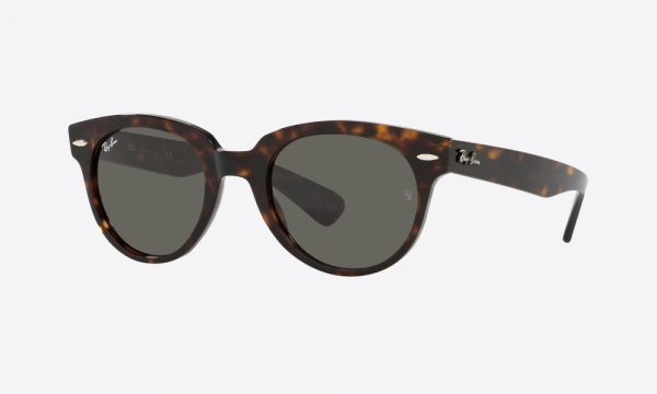 RayBan RB2199 902/B1 Havana