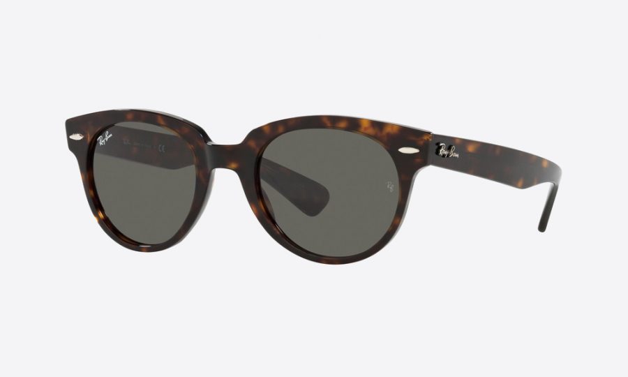 RayBan RB2199 902/B1 Havana