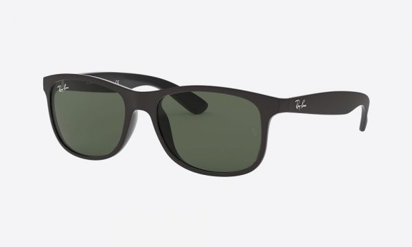 RayBan RB4202 606971 Black