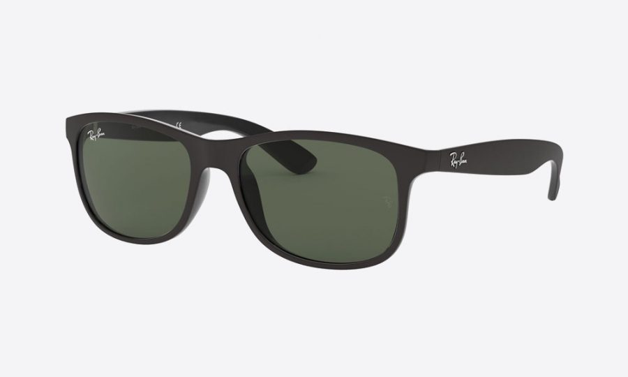 RayBan RB4202 606971 Black