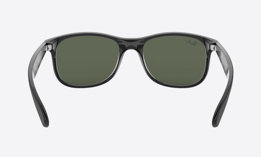 RayBan RB4202 606971 Black - Image 4