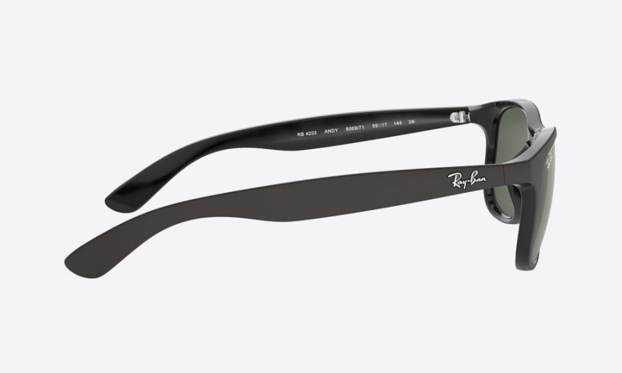 RayBan RB4202 606971 Black - Image 3