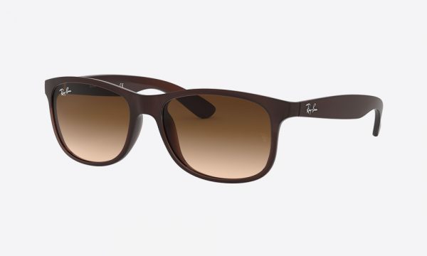 RayBan RB4202 607313 Brown
