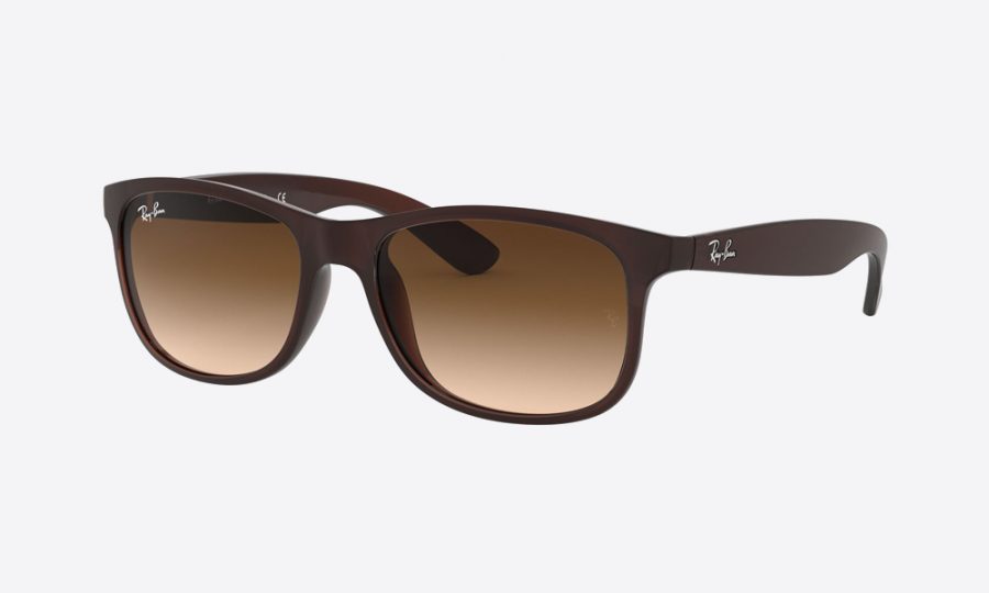 RayBan RB4202 607313 Brown