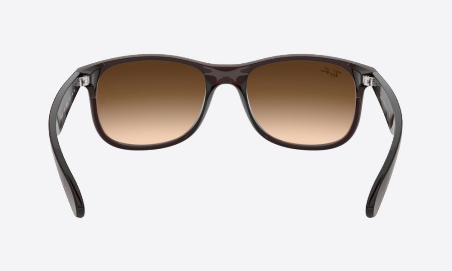 RayBan RB4202 607313 Brown - Image 4
