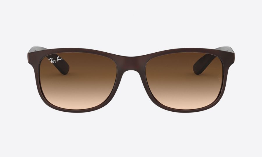 RayBan RB4202 607313 Brown - Image 2