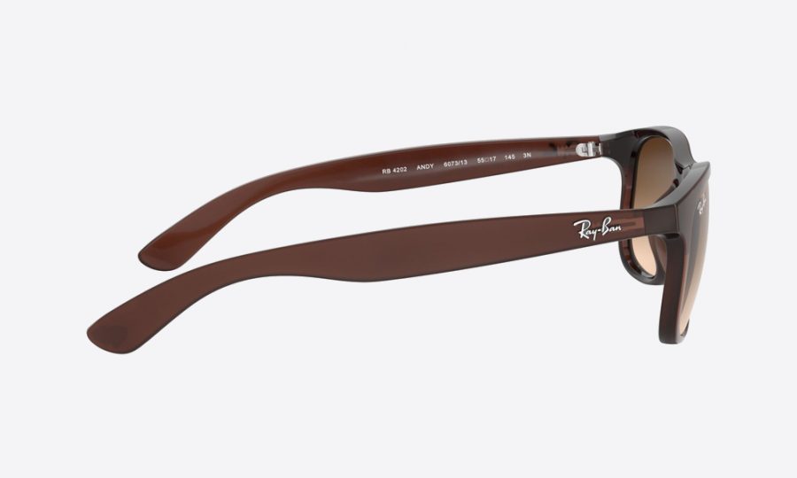 RayBan RB4202 607313 Brown - Image 3