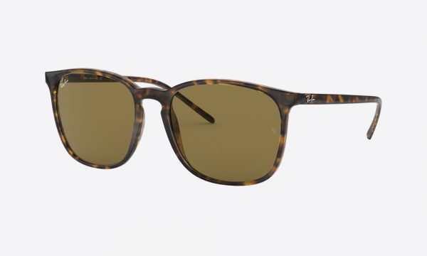 RayBan RB4387 710/73 Havana