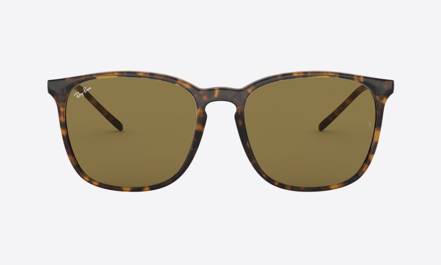 RayBan RB4387 710/73 Havana - Image 2