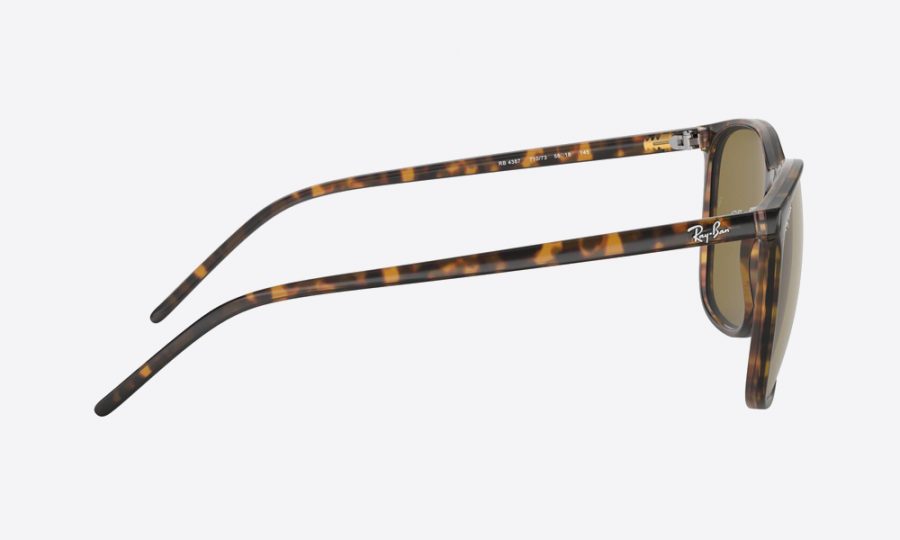 RayBan RB4387 710/73 Havana - Image 3