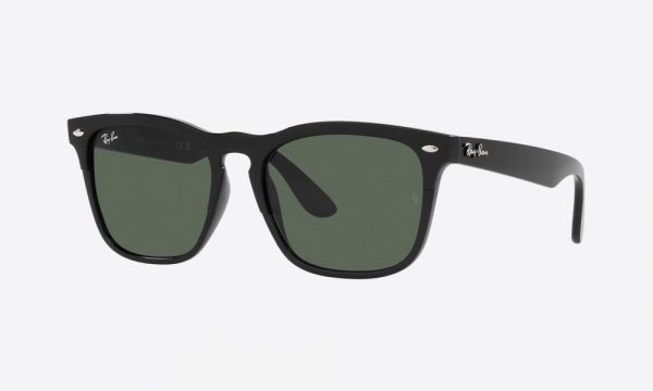 RayBan RB4487 662971 Black