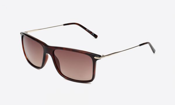 Scott SC2590 C2 Havana